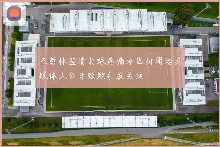 王哲林澄清打球疼痛非因封闭治疗媒体人公开致歉引发关注